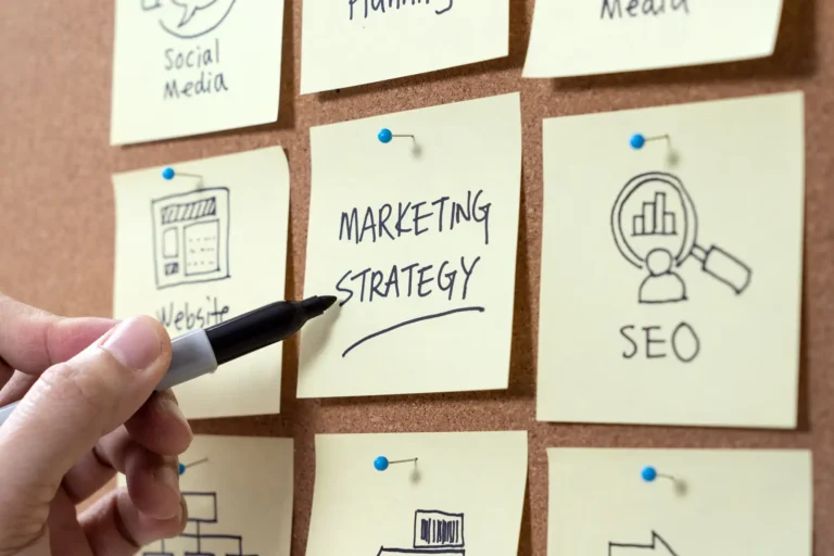 Web agency Albano. Siti web e marketing digitale per far volare la tua azienda