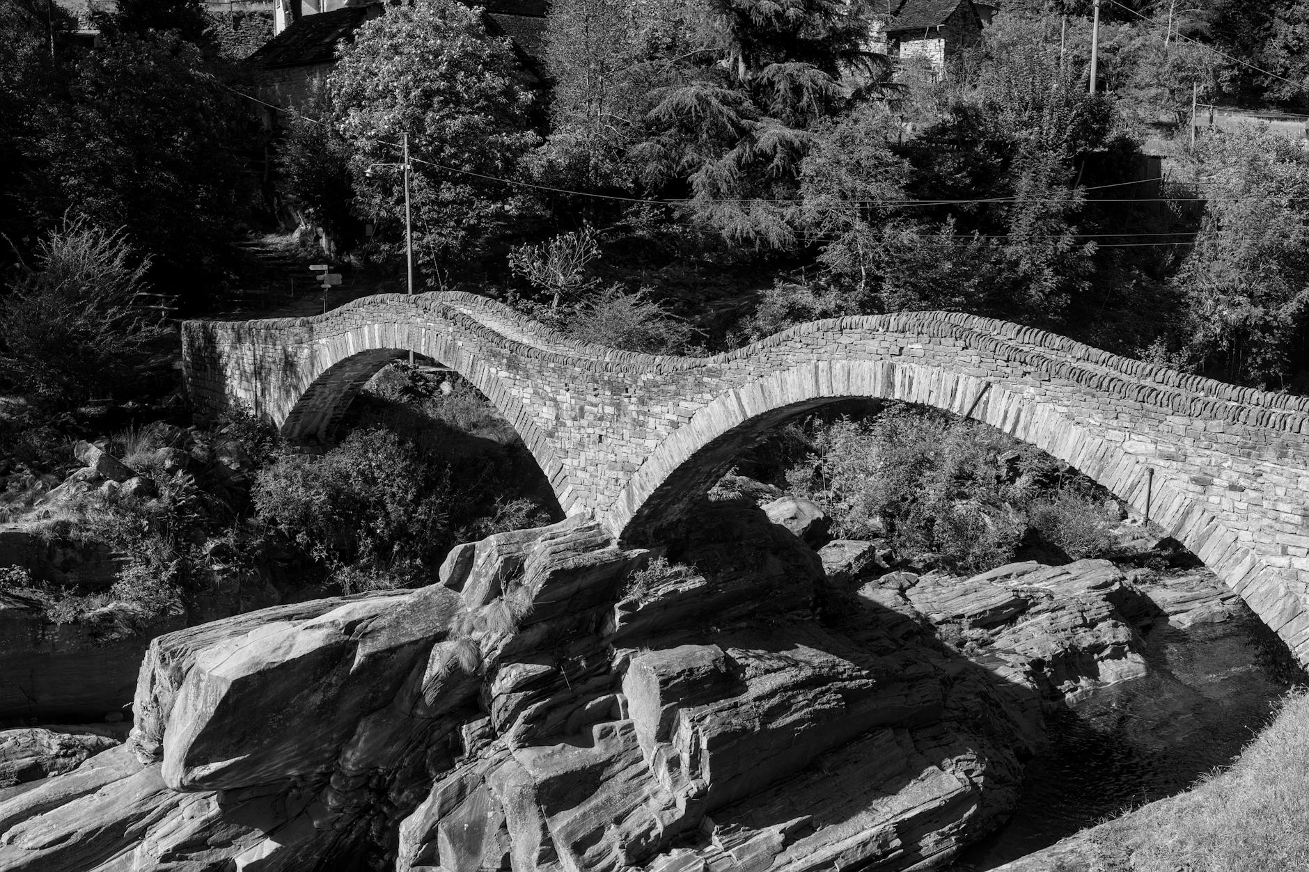 digitalizzazione dei processi