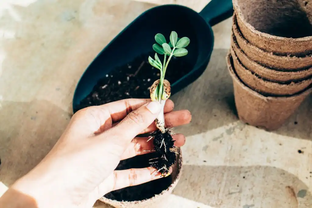 CRM predittivo: personalizzare il nurturing conviene davvero?